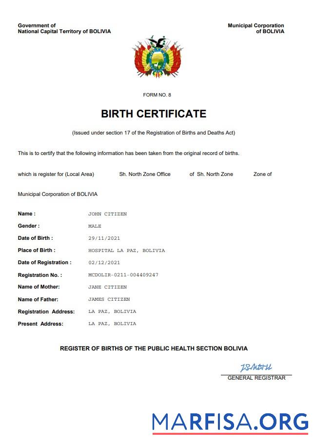 Blank Bolivia vital record birth certificate Word and PDF template